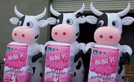 海丰牛奶包装广告气模